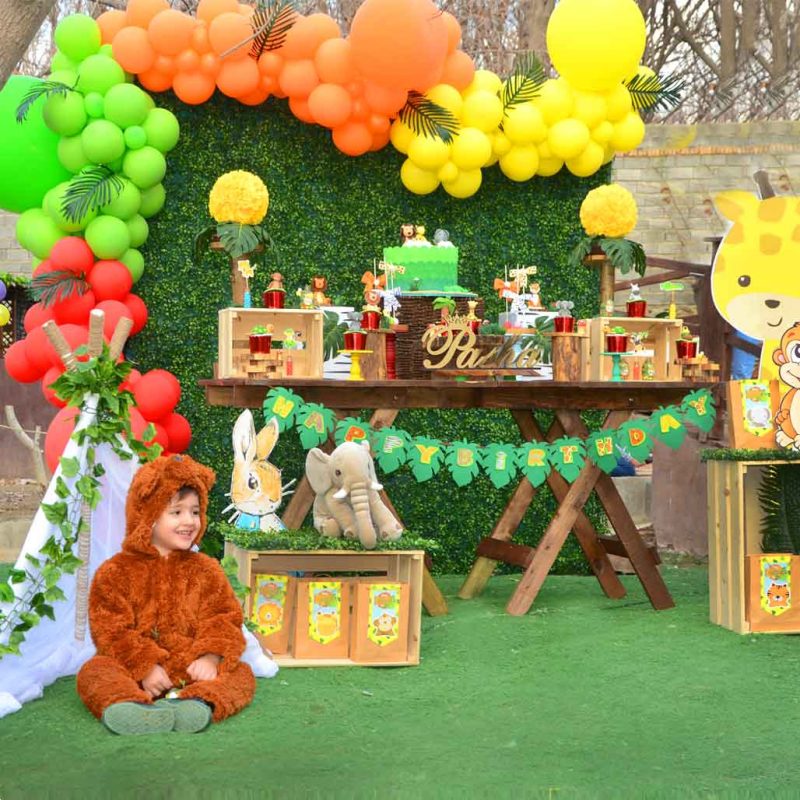 تم تولد حیوانات خانگی تم تولد حیوانات خانگی