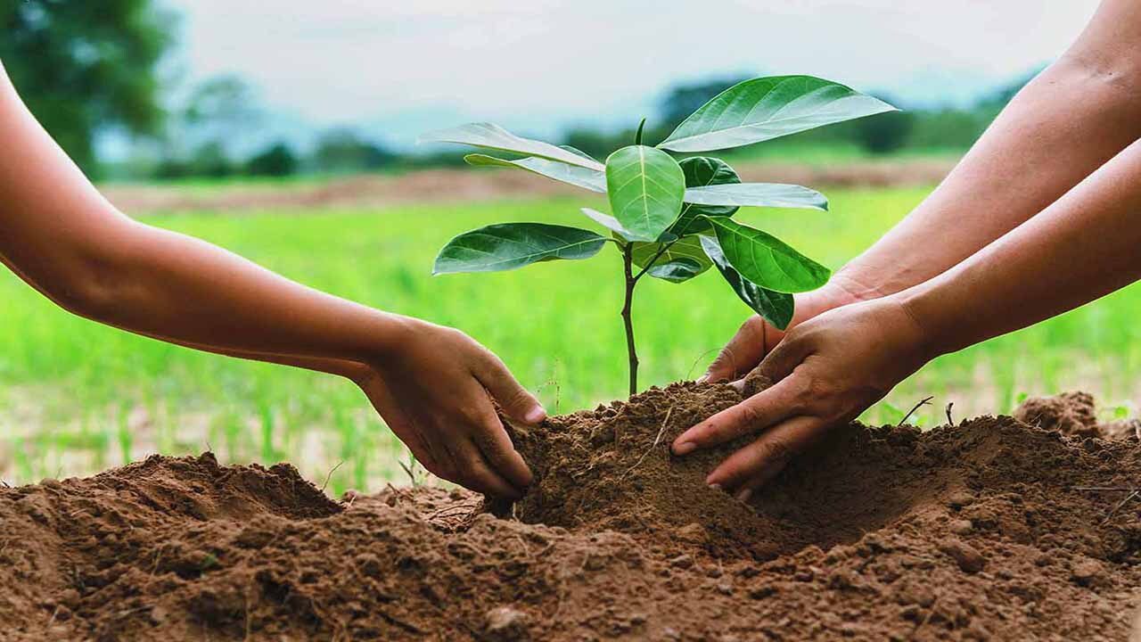 زنده نگهداشتن یاد عزیزان: ۱۰ راهکار خلاقانه و عملی برای حفظ خاطرات زنده نگهداشتن یاد عزیزان: ۱۰ راهکار خلاقانه و عملی برای حفظ خاطرات