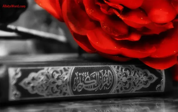 رابطه بین صدقه دادن و آرامش روح متوفی در مراسم ترحیم رابطه بین صدقه دادن و آرامش روح متوفی در مراسم ترحیم